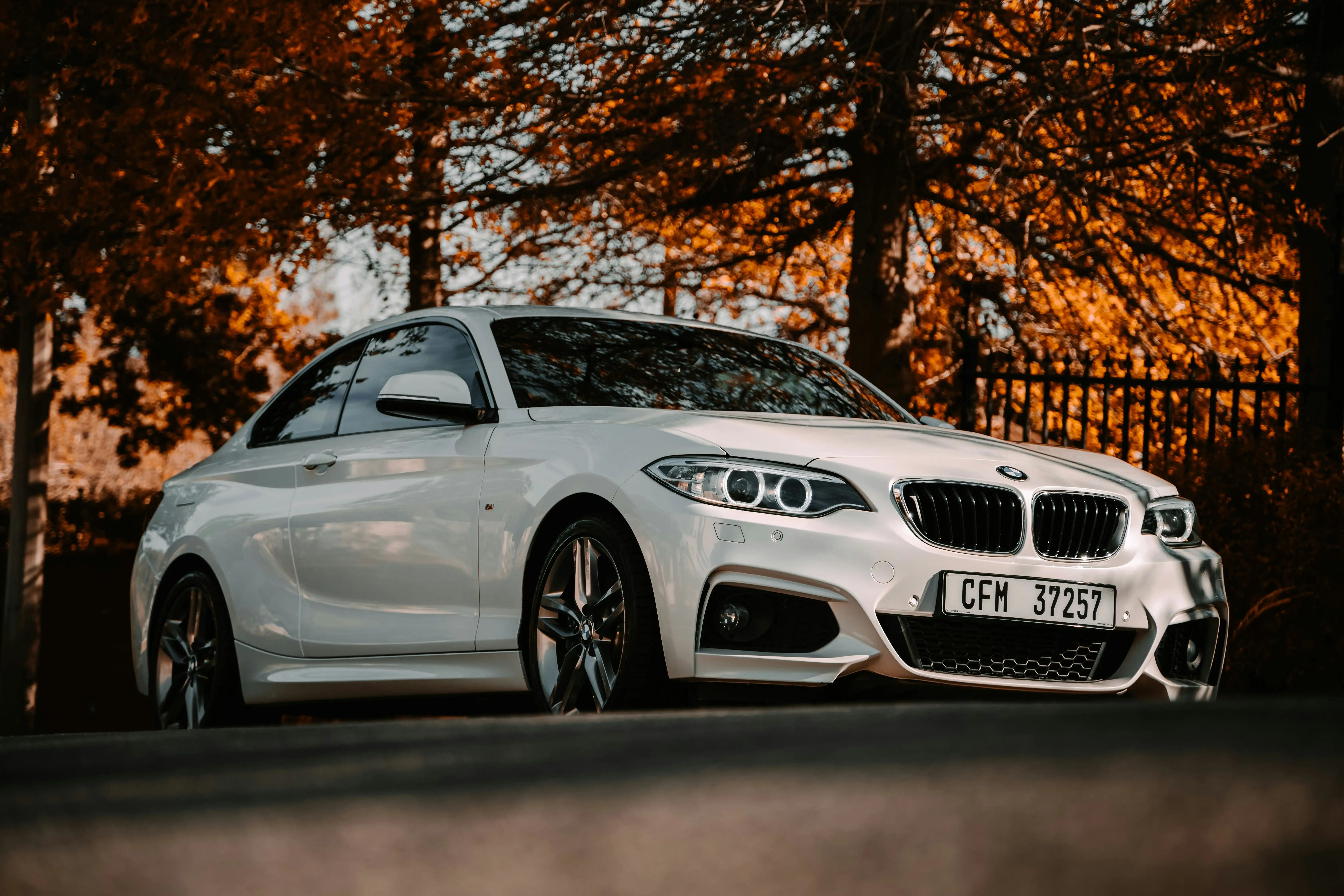 Authorized BMW Service vs Independent Specialists: Pros and Cons for UAE Owners Authorized BMW Service vs Independent Specialists: Pros and Cons for UAE Owners